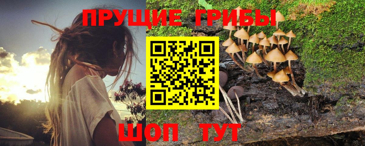 Псилоцибиновые грибы ЛСД Кандалакша